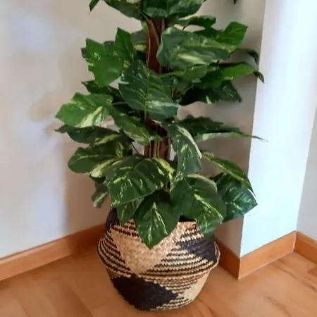 Martin Gamero * Toledo