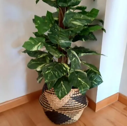 Martin Gamero * Tolède